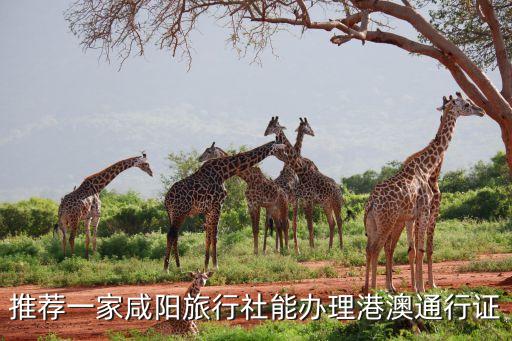 推荐一家咸阳旅行社能办理港澳通行证