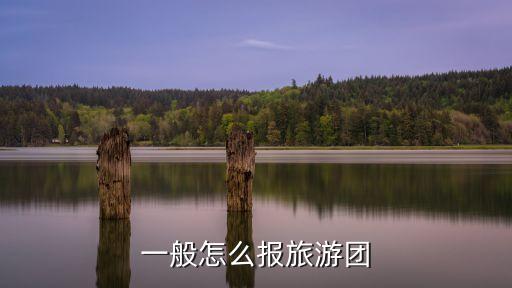 一般怎么报旅游团