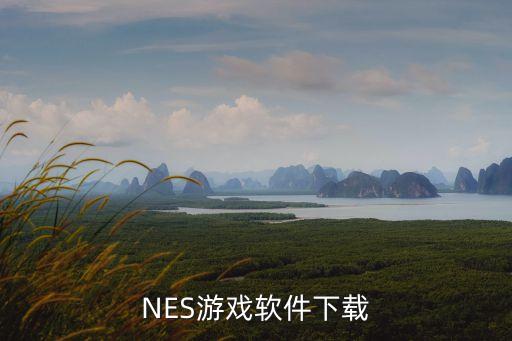 外网游戏app，NES游戏软件下载