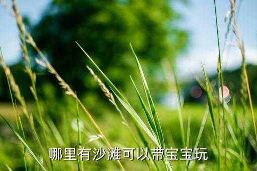 哪里有沙滩可以带宝宝玩