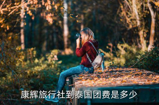 康辉旅行社到泰国团费是多少