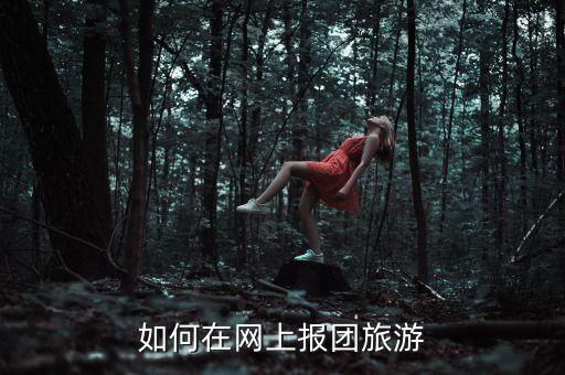 如何在网上报团旅游