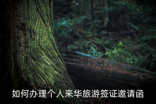中国签证邀请函 个人，中国签证邀请函格式