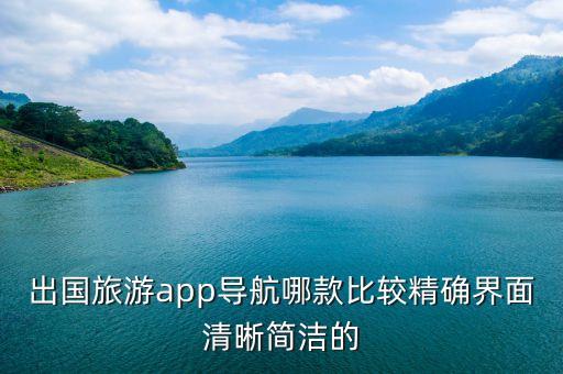 出国旅游用什么地图导航比较好，出国旅游app导航哪款比较精确界面清晰简洁的