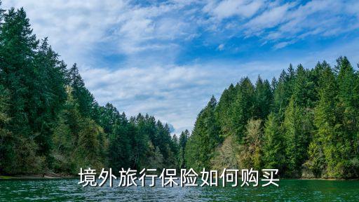 国际旅游保险哪里买，境外旅行保险如何购买