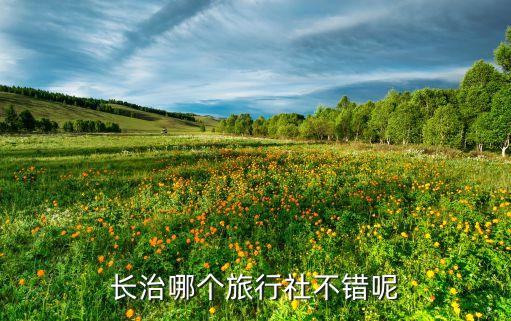 长治哪个旅行社口碑好，长治哪个旅行社最好