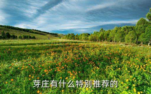 芽庄有什么特别推荐的
