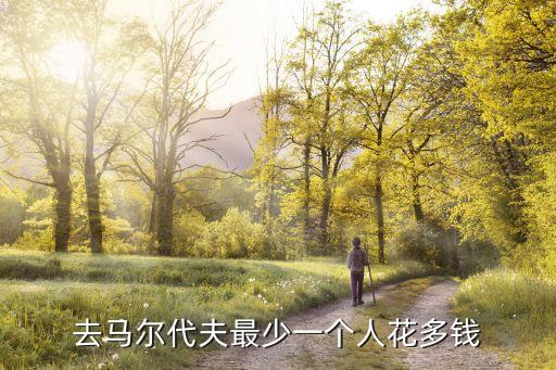 去马尔代夫最少一个人花多钱
