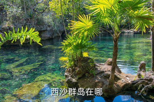 西沙群岛在哪