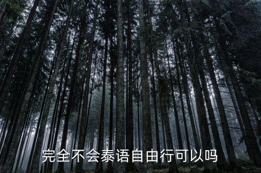 完全不会泰语自由行可以吗