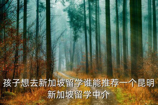 孩子想去新加坡留学谁能推荐一个昆明新加坡留学中介