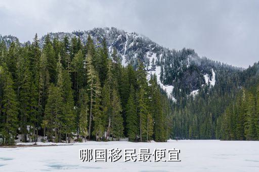哪国移民最便宜
