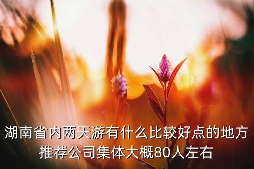 湖南省内两天游有什么比较好点的地方推荐公司集体大概80人左右
