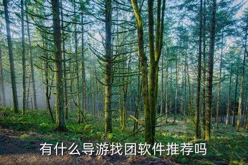 有什么导游找团软件推荐吗