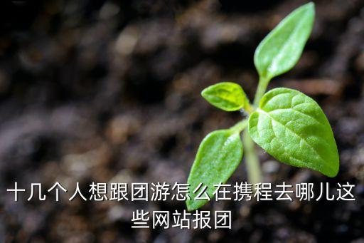 十几个人想跟团游怎么在携程去哪儿这些网站报团