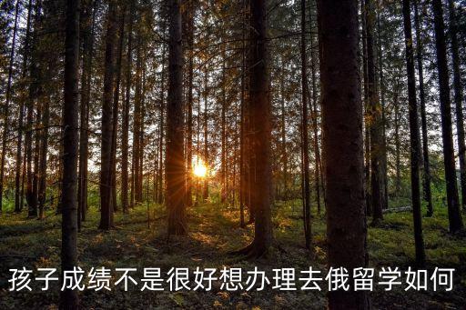 成绩不好去俄罗斯留学怎么样，孩子今年没有考好听说现在政策放宽去俄留学怎么样