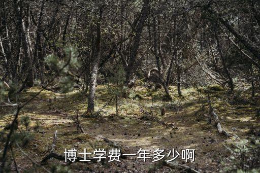 博士留学一年多少钱，到澳大利亚读博士一年要多少费用