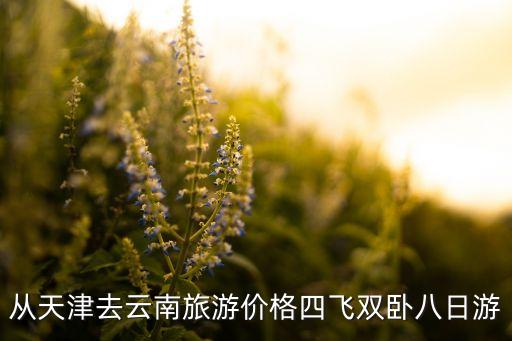 旅游团报名丽江五日游天津去，从天津去丽江旅游报团好还是自助游好呢有经验的您详细说说