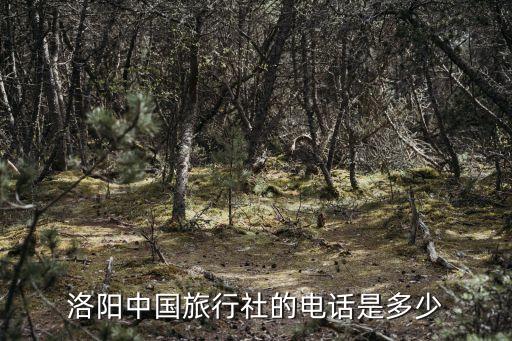 洛阳中国旅行社的电话是多少