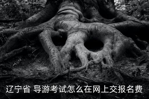 辽宁省 导游考试怎么在网上交报名费
