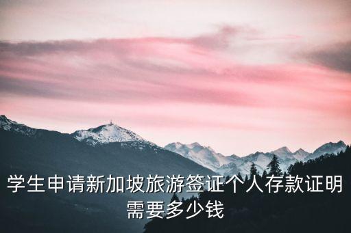 学生申请新加坡旅游签证个人存款证明需要多少钱