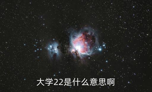 大学22是什么意思啊