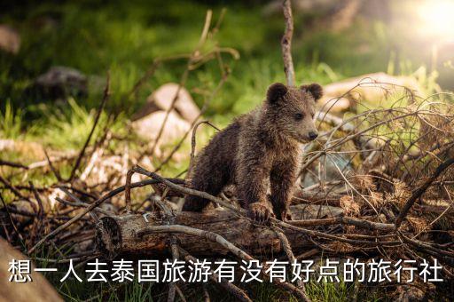 想一人去泰国旅游有没有好点的旅行社