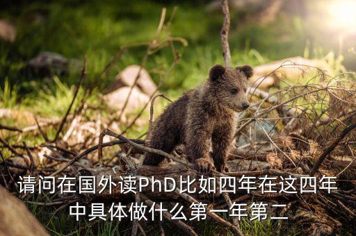 请问在国外读PhD比如四年在这四年中具体做什么第一年第二