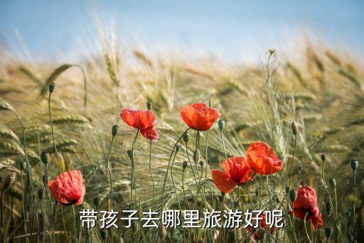 带孩子去哪里旅游好呢