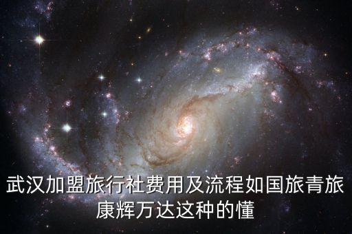 武汉加盟旅行社费用及流程如国旅青旅康辉万达这种的懂