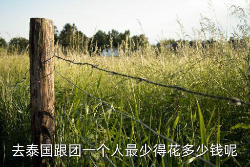 去泰国跟团一个人最少得花多少钱呢