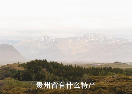 贵州省有什么特产