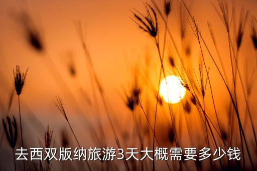 去西双版纳旅游3天大概需要多少钱