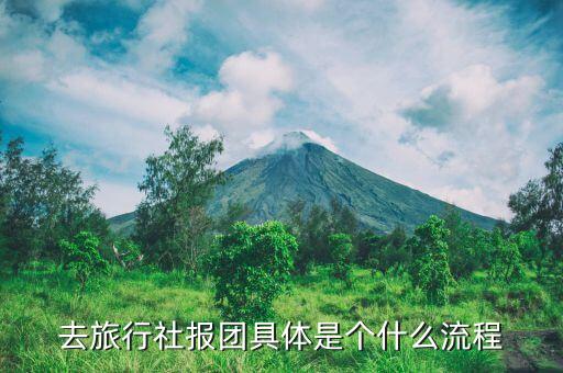 去旅行社报团具体是个什么流程