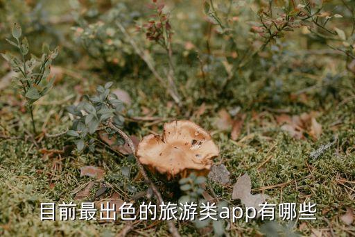 旅行的平台，推荐一些不错的旅游网站吧
