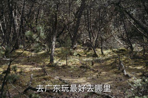 去广东玩最好去哪里