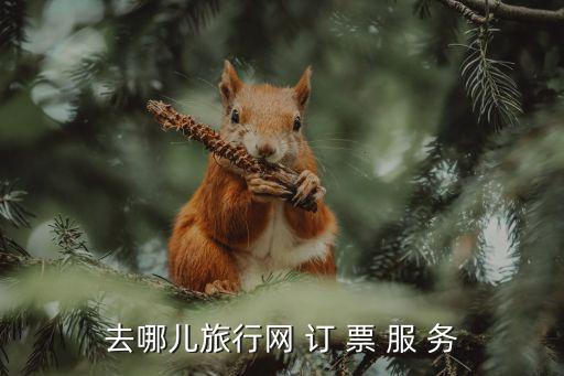 去哪儿旅行网 订 票 服 务