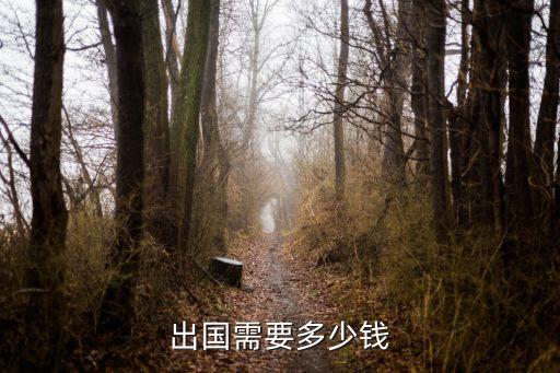 出国需要多少钱