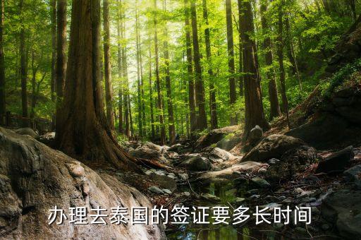 办理去泰国的签证要多长时间