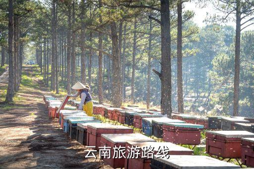 云南旅游路线