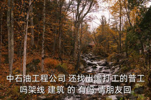 中石油工程公司 还找出国打工的普工吗架线 建筑 的 有吗 请朋友回