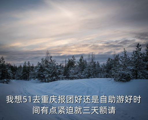 去重庆是跟团好还是自由行好，去重庆耍报团好还是自驾好