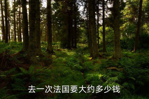 去一次法国要大约多少钱