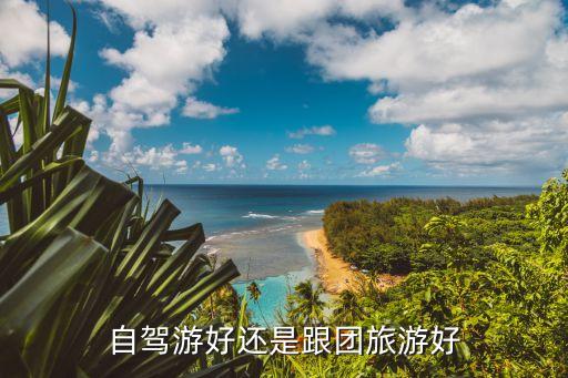 自驾游好还是跟团旅游好
