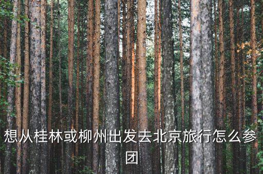 报北京旅游团怎么报，如果去北京两日游应该怎么报团