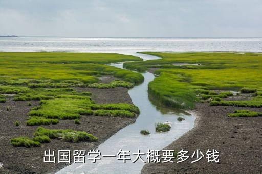 出国留学一年大概要多少钱
