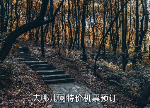 去哪儿网特价机票预订