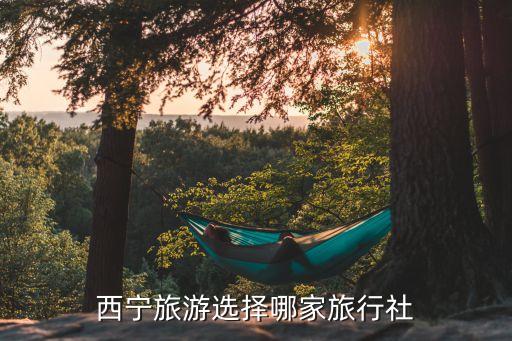 西宁旅游旅行社，青海西宁哪家旅行社最好