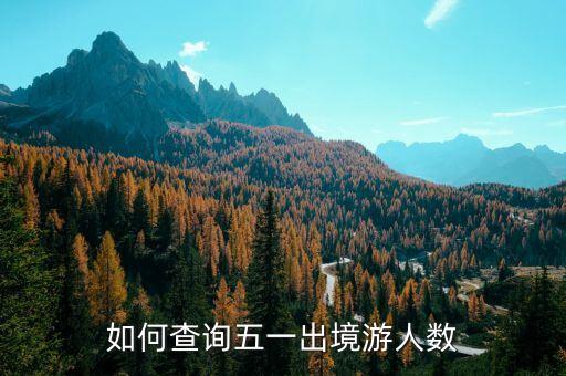 如何查询五一出境游人数