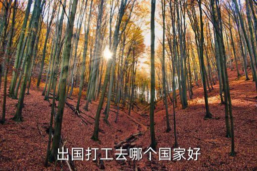 出国打工去哪个国家好